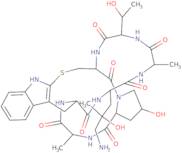((R)-4-Hydroxy-4-methyl-Orn7)-phalloidin