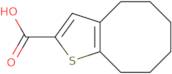 4,5,6,7,8,9-Hexahydrocycloocta[b]thiophene-2-carboxylic acid