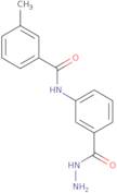 N-[3-(Hydrazinocarbonyl)phenyl]-3-methylbenzamide