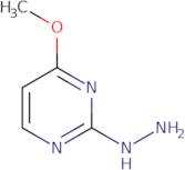 2-Hydrazino-4-methoxypyrimidine