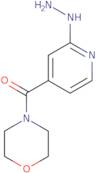 4-(2-Hydrazinoisonicotinoyl)morpholine