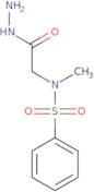 N-(2-Hydrazino-2-oxoethyl)-N-methylbenzenesulfonamide