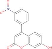 7-Hydroxy-4-(3-nitrophenyl)-2H-chromen-2-one