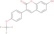 7-Hydroxy-3-[4-(trifluoromethoxy)phenyl]-2H-chromen-2-one