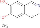 7-Hydroxy-6-methoxy-3,4-dihydroisoquinoline