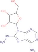 8-Hydrazinoadenosine