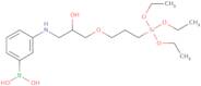B-[3-[[2-Hydroxy-3-[3-(triethoxysilyl)propoxy]propyl]amino]phenyl]boronic acid