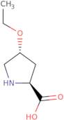 trans-4-Ethoxy-L-proline