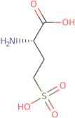 L-Homocysteic acid