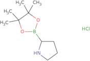 H-Boroproline pinacol hydrochloride