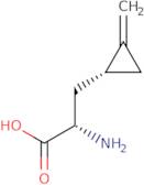 Hypoglycine