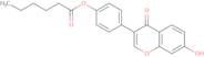 4'-O-Hexanoyldaidzein