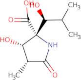 (3R,4S,5R)-4-Hydroxy-5-[(1S)-1-hydroxy-2-methylpropyl]-3-methyl-2-pyrrolidinone-5-carboxylic acid