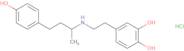 4-[2-[[3-(4-Hydroxyphenyl)-1-methylpropyl]amino]ethyl]-1,2-benzenediol hydrochloride