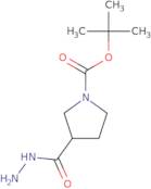 3-Hydrazinocarbonyl-pyrrolidine-1-carboxylic acid tert-butyl ester