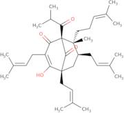 Hyperforin - solution in methanol