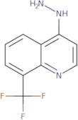 4-Hydrazino-8-Trifluoromethyl-Quinoline