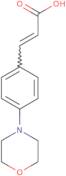 (2E)-3-[4-(Morpholin-4-yl)phenyl]prop-2-enoic acid