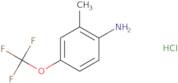 2-Methyl-4-(trifluoromethoxy)benzenaminium chloride