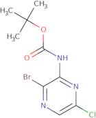 tert-Butyl (3-bromo-6-chloropyrazin-2-yl)carbamate