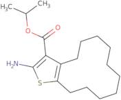 Isopropyl 2-amino-4,5,6,7,8,9,10,11,12,13-decahydrocyclododeca[b]thiophene-3-carboxylate