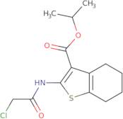 Isopropyl 2-[(chloroacetyl)amino]-4,5,6,7-tetrahydro-1-benzothiophene-3-carboxylate