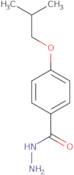 4-Isobutoxybenzohydrazide