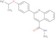 2-(4-Isopropoxyphenyl)quinoline-4-carbohydrazide