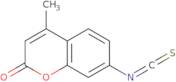 7-Isothiocyanato-4-methyl-2H-chromen-2-one