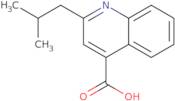 2-Isobutylquinoline-4-carboxylic acid