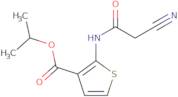 Isopropyl 2-[(cyanoacetyl)amino]thiophene-3-carboxylate