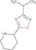 2-(3-Isopropyl-1,2,4-oxadiazol-5-yl)piperidine hydrochloride