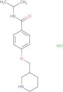 N-Isopropyl-4-(piperidin-3-ylmethoxy)benzamide hydrochloride