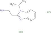 [2-(1-Isopropyl-1H-benzimidazol-2-yl)ethyl]amine dihydrochloride