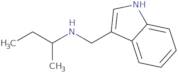 N-(1H-Indol-3-ylmethyl)butan-2-amine