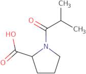 1-Isobutyrylproline