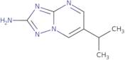 6-Isopropyl[1,2,4]triazolo[1,5-a]pyrimidin-2-amine