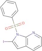 2-Iodo-1-(phenylsulfonyl)-1H-pyrrolo[2,3-b]pyridine