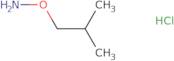O-Isobutylhydroxylamine,HCl