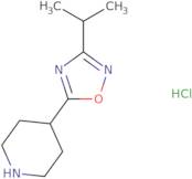4-(3-Isopropyl-1,2,4-oxadiazol-5-yl)piperidine hydrochloride