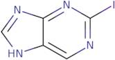 2-Iodo-9H-purine