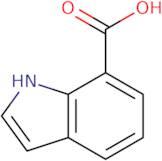 Indole-7-carboxylic acid