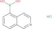 Isoquinoline-5-boronic acid HCl