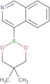 Isoquinoline-4-boronic acid neopentyl glycol ester