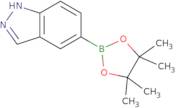 Indazole-5-boronic acid pinacol ester