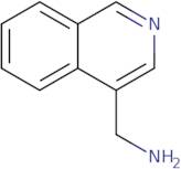 Isoquinolin-4-yl-methylamine