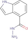 1H-Indole-4-carboxylic acid hydrazide