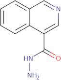 Isoquinoline-4-carboxylic acid hydrazide