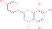 Isoscutellarein