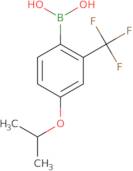 4-Isopropoxy-2-(Trifluoromethyl)Phenylboronic Acid